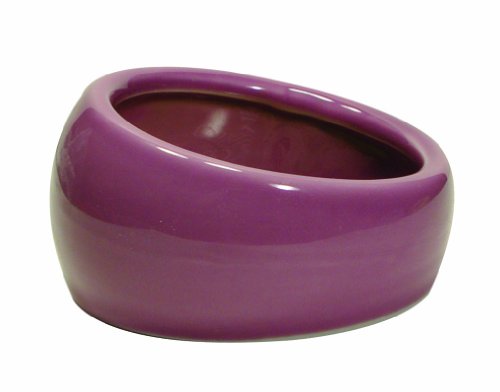 Living World Ergonomic Dish - Small Pet Food Bowl, Pink