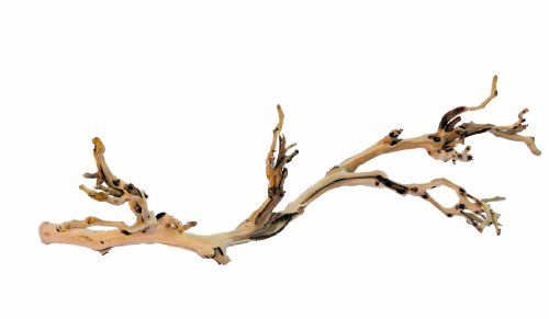 Exo Terra Forest Branch Large - Reptile Habitat Decor - PT3077
