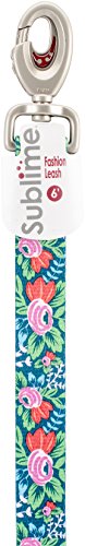 Coastal Pet Sublime Dog Leash 1" x 6' - Flowers/Stripes Design