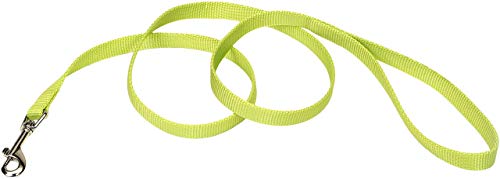 Coastal 5/8" x 4' Nylon Dog Leash - Lime Green