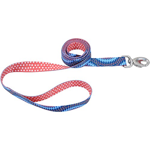 Coastal Pet Sublime Dog Leash 1" x 6' Diamonds/Dots