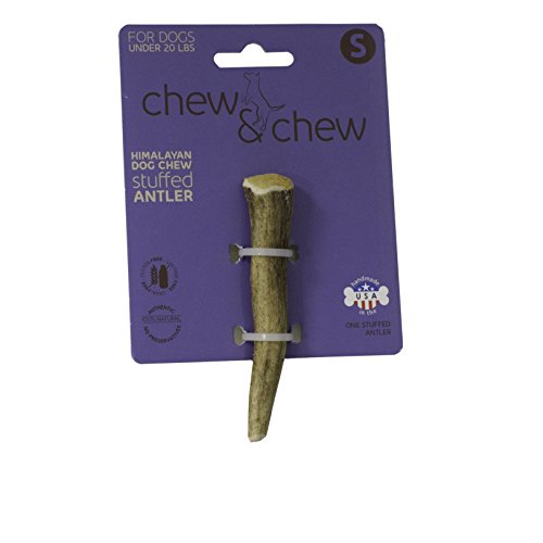 HIMALAYAN ANTLER STUFFED SMALL