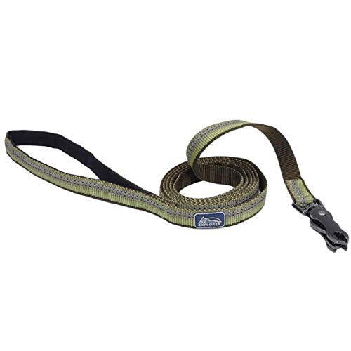 Coastal Pet K9 Explorer Reflective Dog Leash, Fern, 5/8 in x 6 ft, Scissor Snap