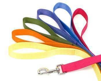 Coastal Pet Single Ply Dog Leash, 5/8 inch x 4 ft, Nylon Lead