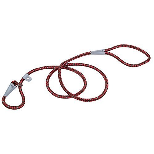 Coastal Pet K9 Explorer Reflective Braided Rope Slip Leash, 6 ft, Berry