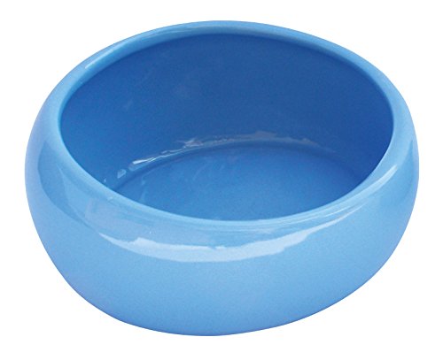 Living World Ergonomic Dish - Large, 420 mL (14.78 oz) - Blue Ceramic Pet Bowl