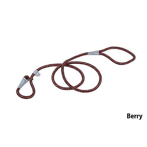 Coastal K9 Explorer Reflective Braided Rope Slip Leash - 6 ft Rosebud