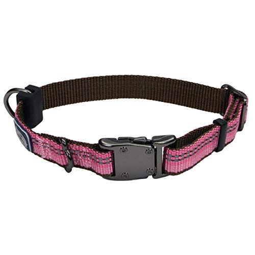 Coastal K9 Explorer Reflective Dog Collar, Rosebud Pink, 5/8 in x 10-14 in