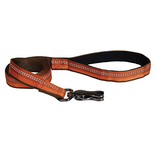 Coastal Pet K9 Explorer Reflective Dog Leash, Campfire Orange, 1 inch x 6 ft