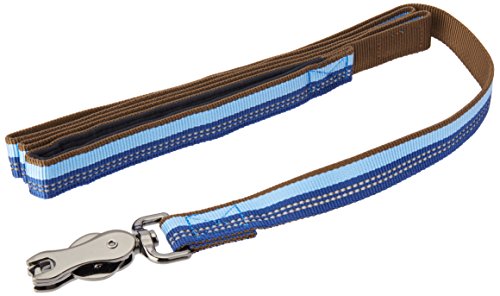 Coastal K9 Explorer Reflective Dog Leash, 1" x 6 ft, Scissor Snap - Sapphire