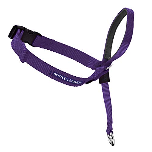 PetSafe Gentle Leader Headcollar, Large, Deep Purple, No-Pull Dog Training Collar