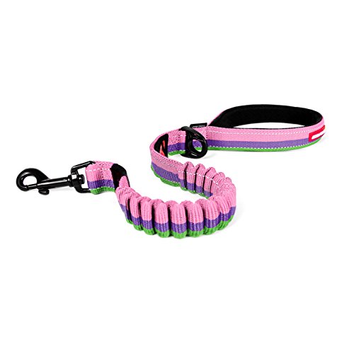 EzyDog Zero Shock Leash - 25 inch, Bubble Gum - Shock Absorbing Bungee Dog Leash