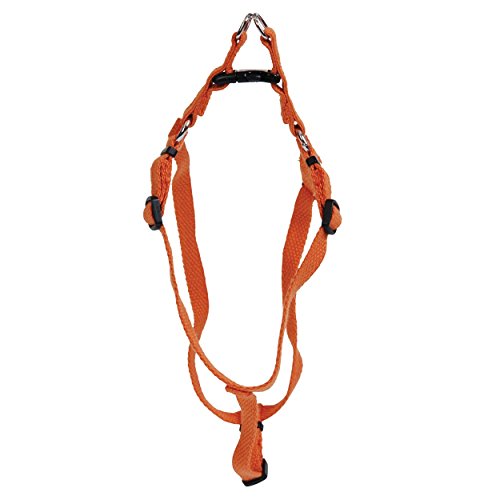 New Earth Soy Comfort Wrap Adjustable Dog Harness, Pumpkin, XS (3/8" x 12"-18")