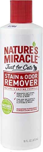 Nature's Miracle Just for Cats Stain & Odor Remover - 16 oz