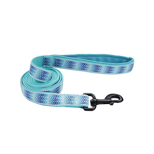 Coastal Ribbon Weave Dog Leash - Teal Chevron Pattern