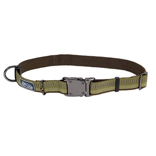 K9 Explorer Reflective Dog Collar - Fern, 1" x 18-26" Adjustable