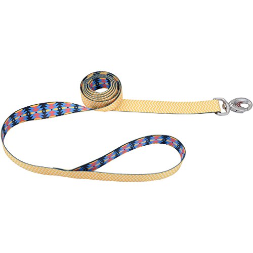 Coastal Pet Sublime Dog Leash - Aztec Yellow Chevron - 1" x 6' - Trendy Colorful Leash