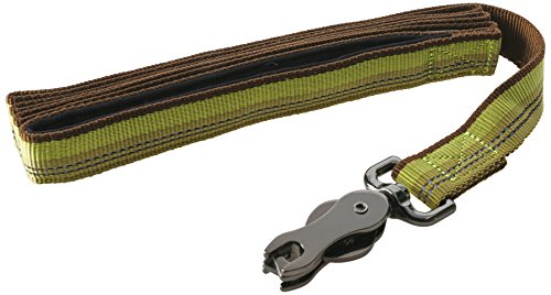 Coastal Pet K9 Explorer Reflective Dog Leash, 1" x 6', Fern, Scissor Snap