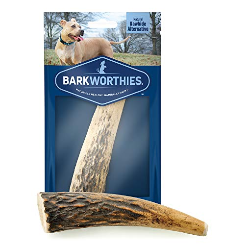 Barkworthies Small Whole Elk Antler Dog Chew - Naturally Shed, Long Lasting