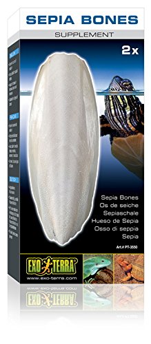 Exo Terra Sepia Bones - Natural Calcium Supplement for Reptiles & Amphibians (PT3550)