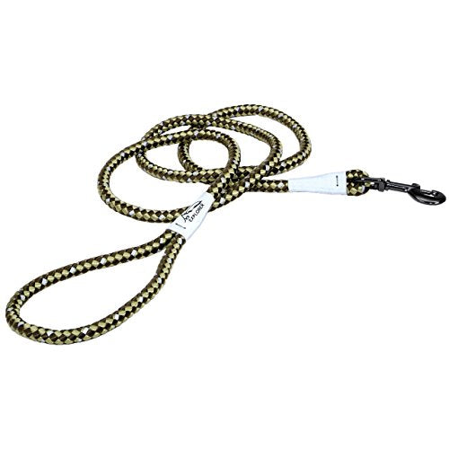 Coastal K9 Explorer 6 ft Reflective Braided Rope Snap Dog Leash, Fern Green