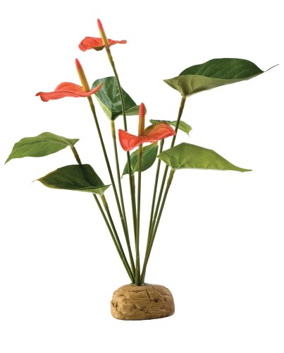Exo Terra Anthurium Bush - Terrarium Plant - PT2992 - Artificial Rainforest Decor