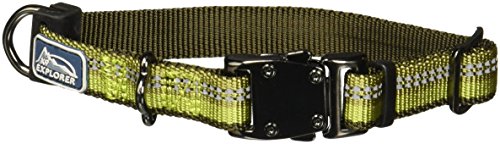 K9 Explorer Reflective Adjustable Dog Collar, Fern, 5/8" x 8-12"