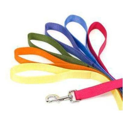 Coastal Pet Nylon Dog Leash, Sunset Orange, 3/4 inch x 4 ft