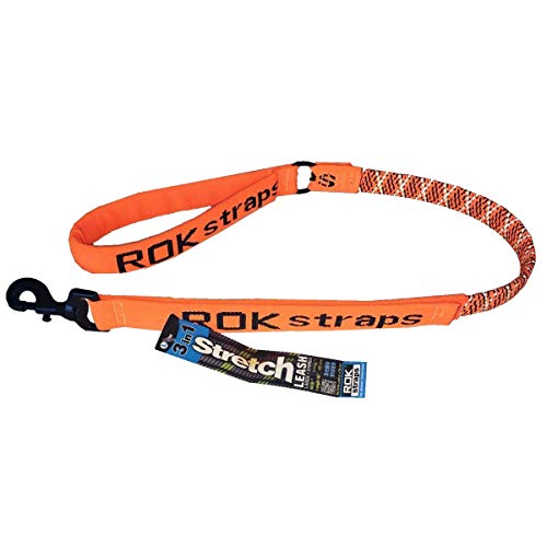 Rok Straps ROK 10972 36 in. Reflective Stretch Dog Leash - Orange