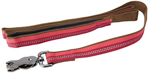 K9 Explorer Reflective Dog Leash, 1" x 6 ft, Scissor Snap, Berry - Coastal Pet