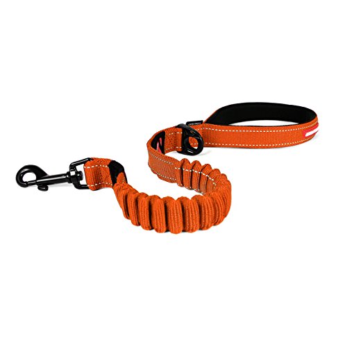 EzyDog Zero Shock Dog Leash, 25-inch, Orange, Shock Absorbing Bungee, For Dogs That Pull