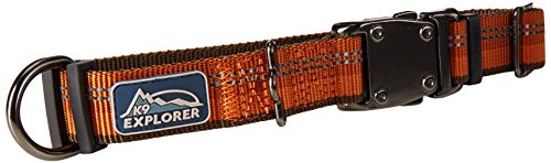 Coastal K9 Explorer Reflective Dog Collar - Orange, 1" Wide, Adjustable (12-18")