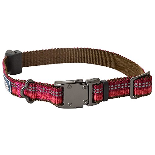 Coastal K9 Explorer Reflective Dog Collar - Berry Red, Adjustable 5/8 inch, Size Small (10-14")
