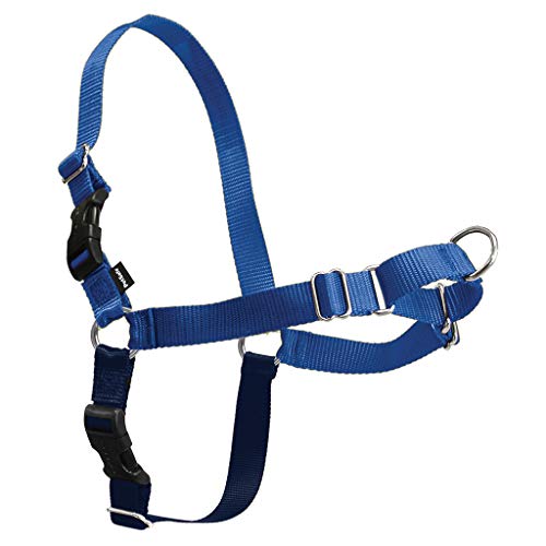 PetSafe Easy Walk Dog Harness, X-Large, Royal Blue/Navy