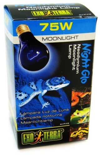Exo Terra Night Heat Lamp - 75W Reptile Terrarium Bulb - Moonlight Glow
