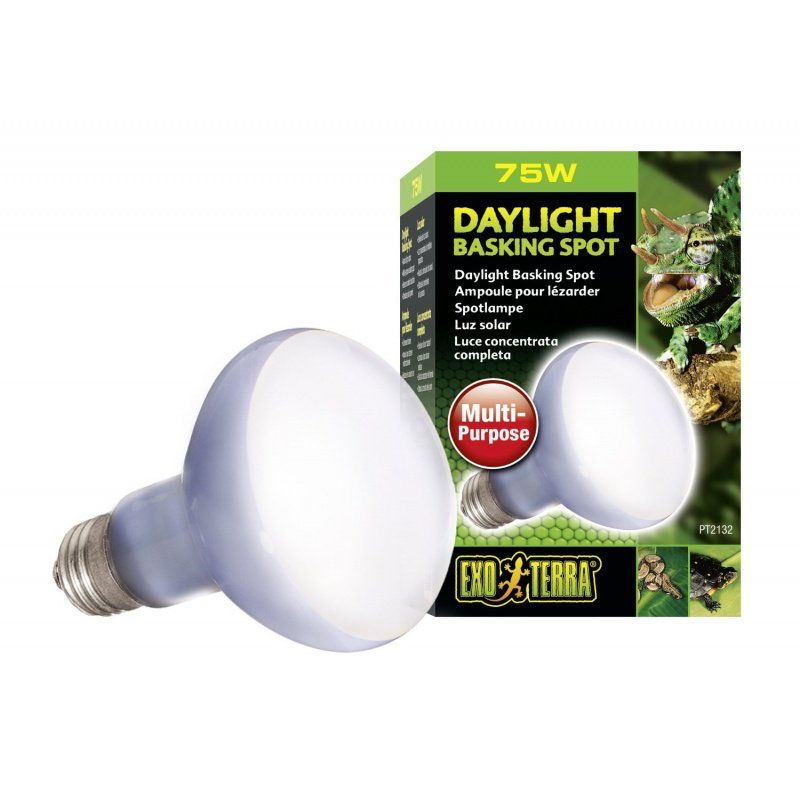 Exo Terra Daylight Basking Spot Lamp - 75W - Reptile Terrarium Bulb