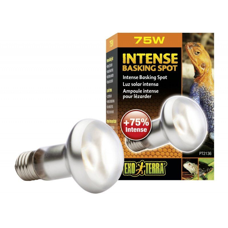 Exo Terra Intense Basking Spot Lamp - 75W - Reptile Heat Bulb