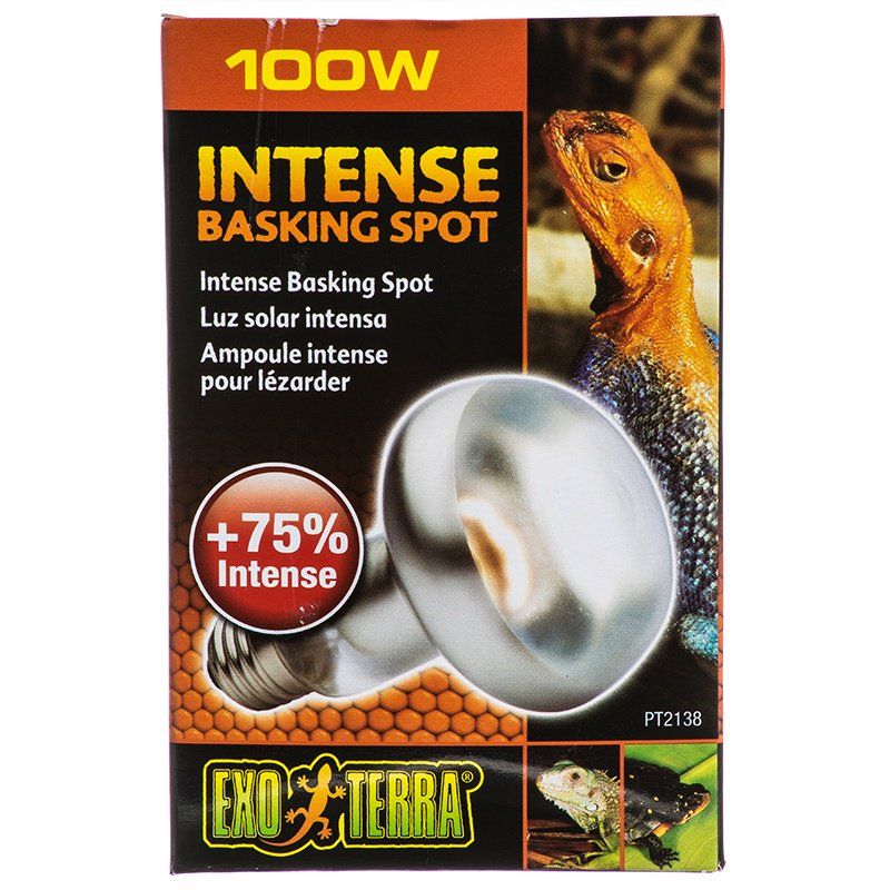Exo Terra Intense Basking Spot Lamp - 100 Watt - Reptile Heat Bulb