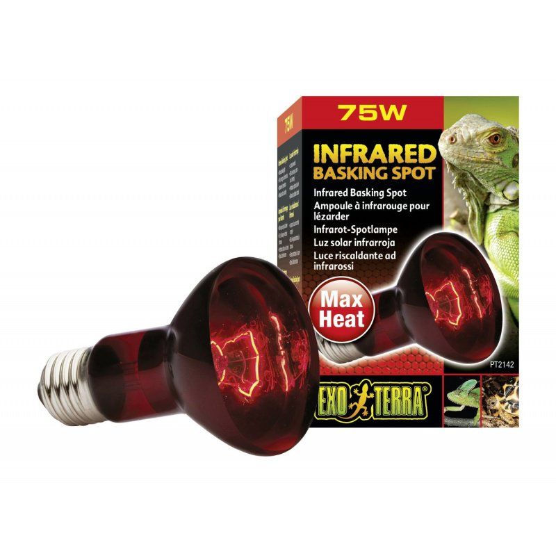 Exo Terra Infrared Basking Spot Lamp - 75W Reptile Heat Lamp