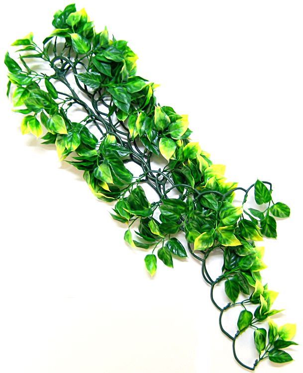 Exo Terra Plastic Terrarium Plant - Large Amapallo - Reptile Habitat Decor