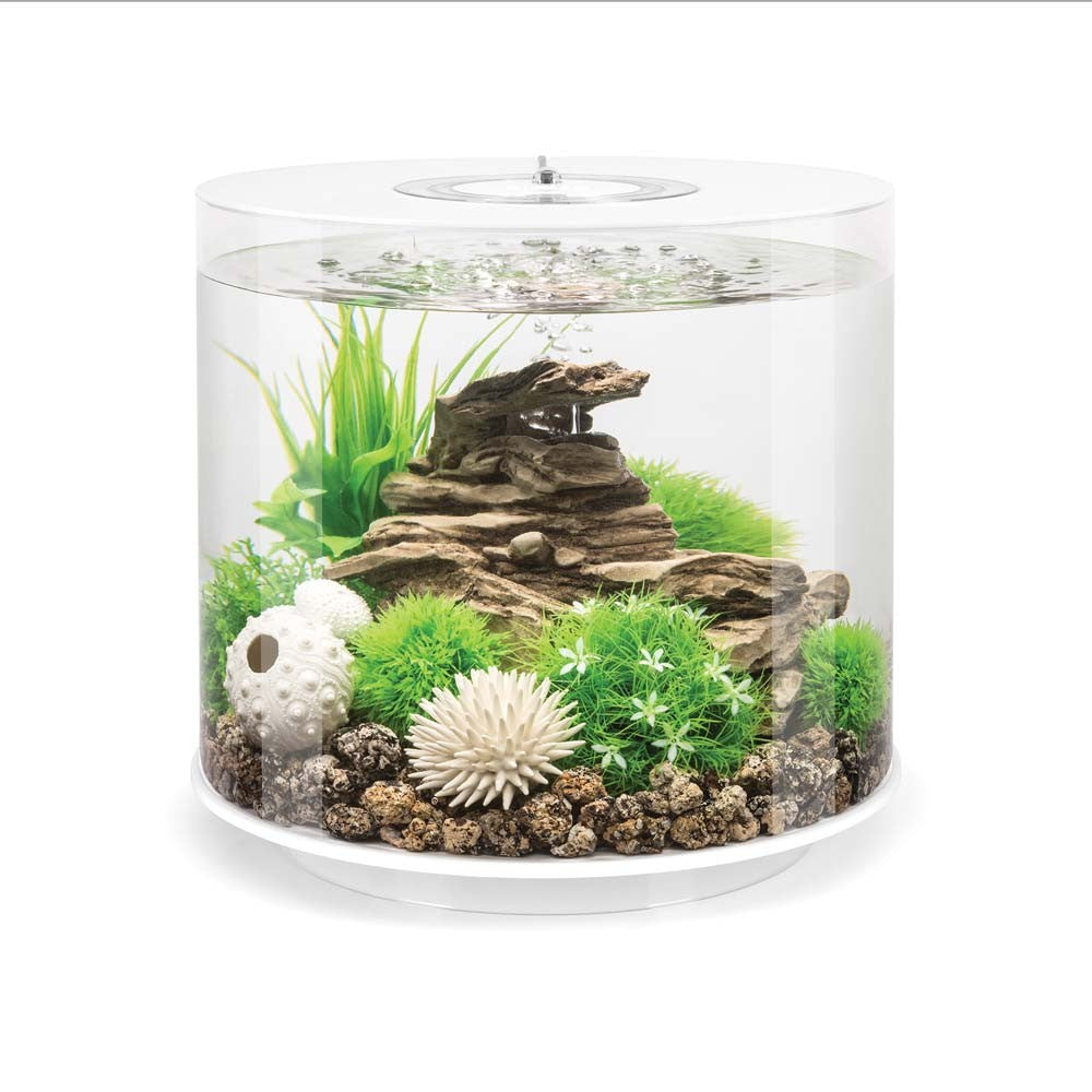 biOrb Tube 15 Aquarium with LED - 4 Gallon Acrylic Fish Tank (Black or White)