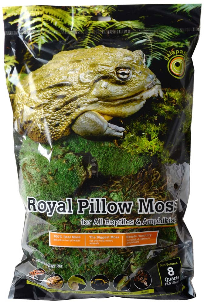 Galapagos Royal Pillow Moss - 8 Quart Bag - For Tropical & Forest Terrariums