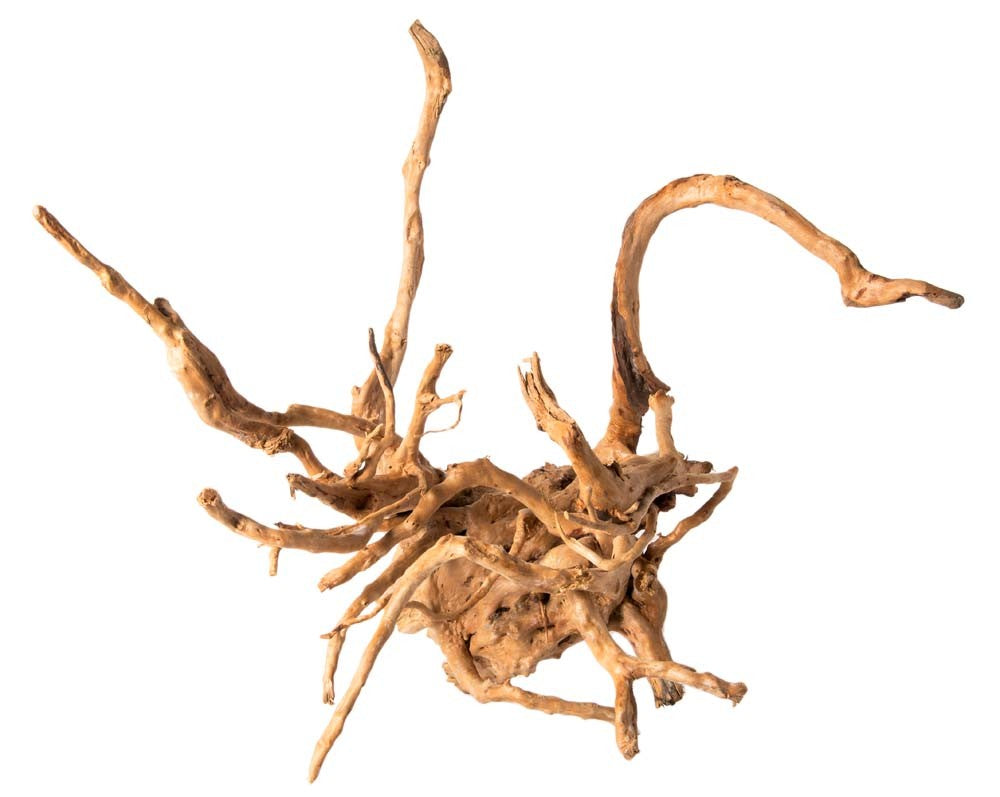 Galapagos Spider Wood Root - Natural Aquarium & Terrarium Decor (12-24 inch)