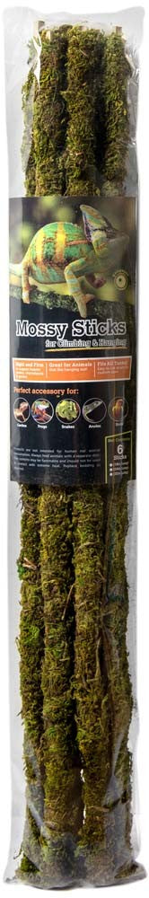 Galapagos Mossy Sticks - 24 Inch, 6 Count - Terrarium Ornament, Reptile Decor, Bird Perch