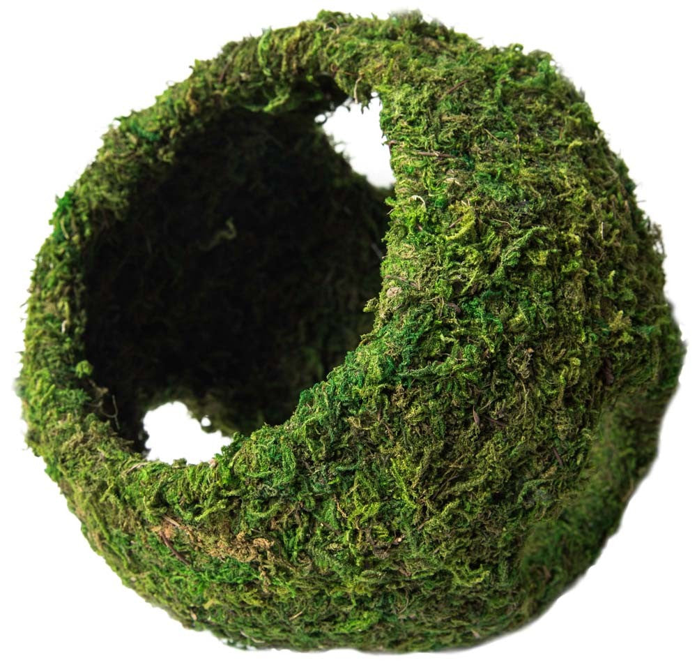 Galapagos Mossy Cave with Holes - 7.5" Green Aquarium/Terrarium Decor Reptile Hideaway
