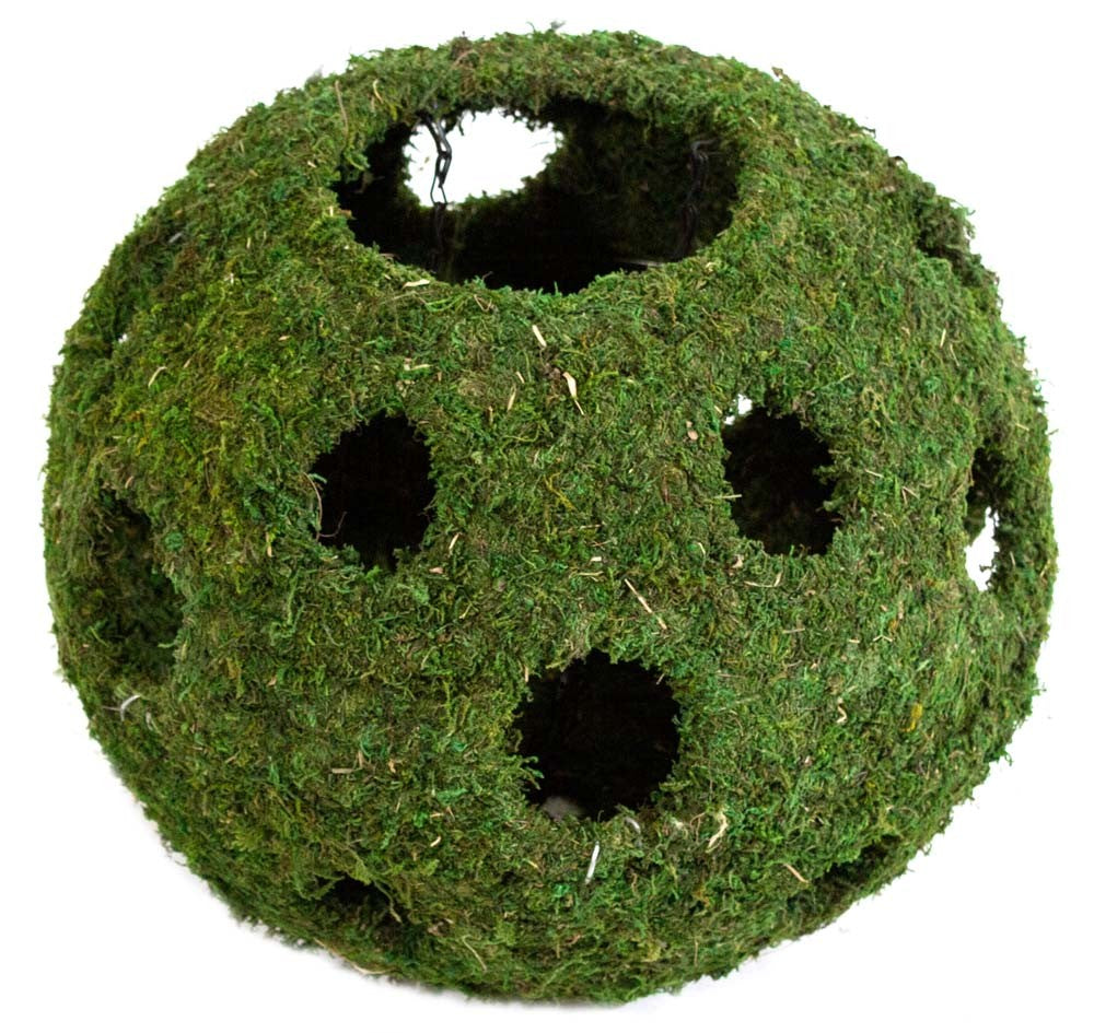 Galapagos Mossy Cave with Holes - Aquarium & Terrarium Hideaway - 12 Inch