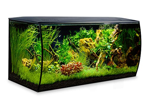 Fluval Flex 32.5 Gallon Aquarium Kit - Black - LED, Filter, Freshwater