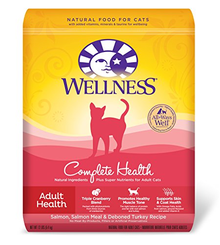 Wellness Complete Health Natural Dry Cat Food, Salmon & Salmon Meal Recipe, 12-Pound Bag