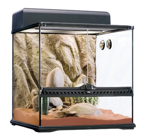 Exo Terra Desert Habitat Kit - Medium - 18" x 18" x 18" Reptile Terrarium Starter Kit