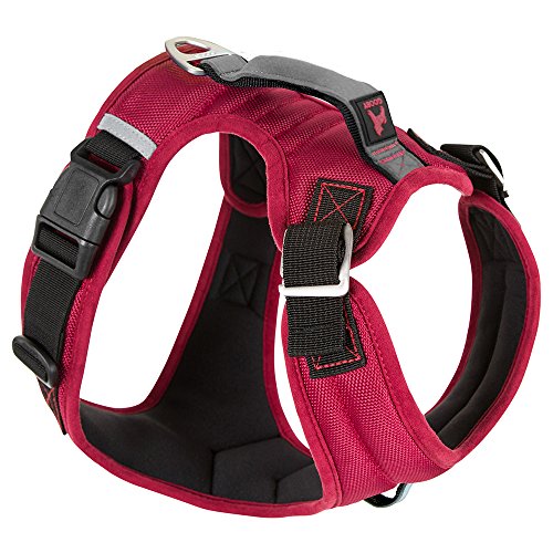 Gooby Pioneer Dog Harness - Red, Medium - Small Dog Head-in Harness with Handle